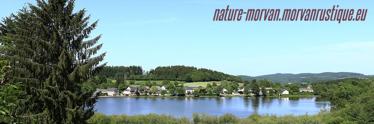 nature-morvan.morvanrustique.eu